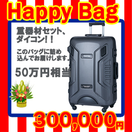 【mic21オリジナル】2020 HAPPY BAG 30万円福袋