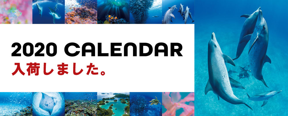 送料無料キャンペーン