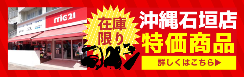 �Ί_�X����������i