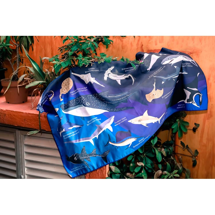 [ OCEANARIUM ] ドライタオル T02 Sharks identification dry towel 80cm x 140cm