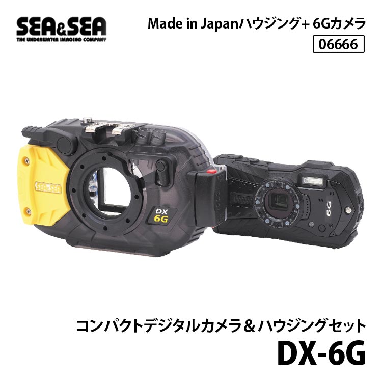 mic21ダイビングショップ[ シーアンドシー SEA&SEA ] 06666 DX-6G