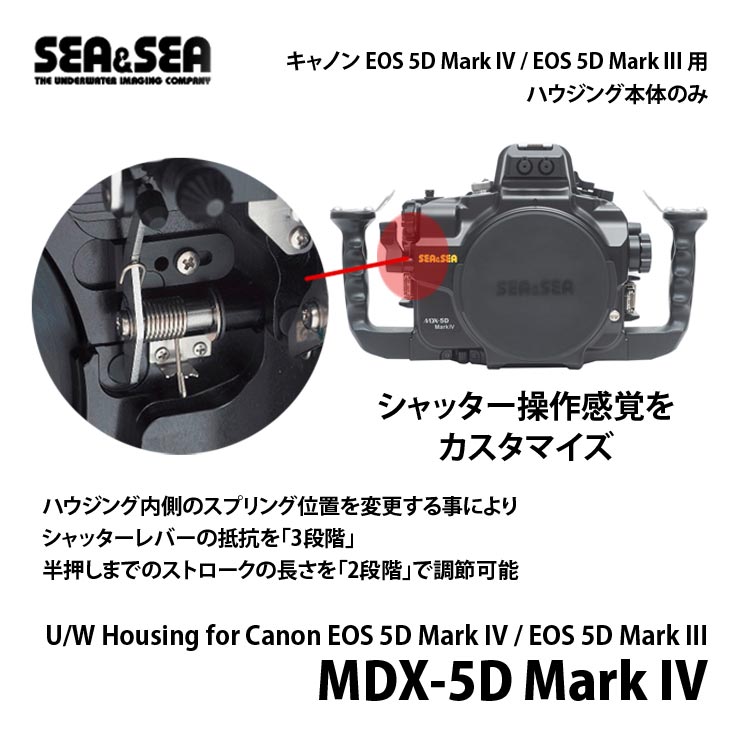 mic21ダイビングショップ[ SEA&SEA ] 06181 MDX-5D MarkIV[ キヤノン 