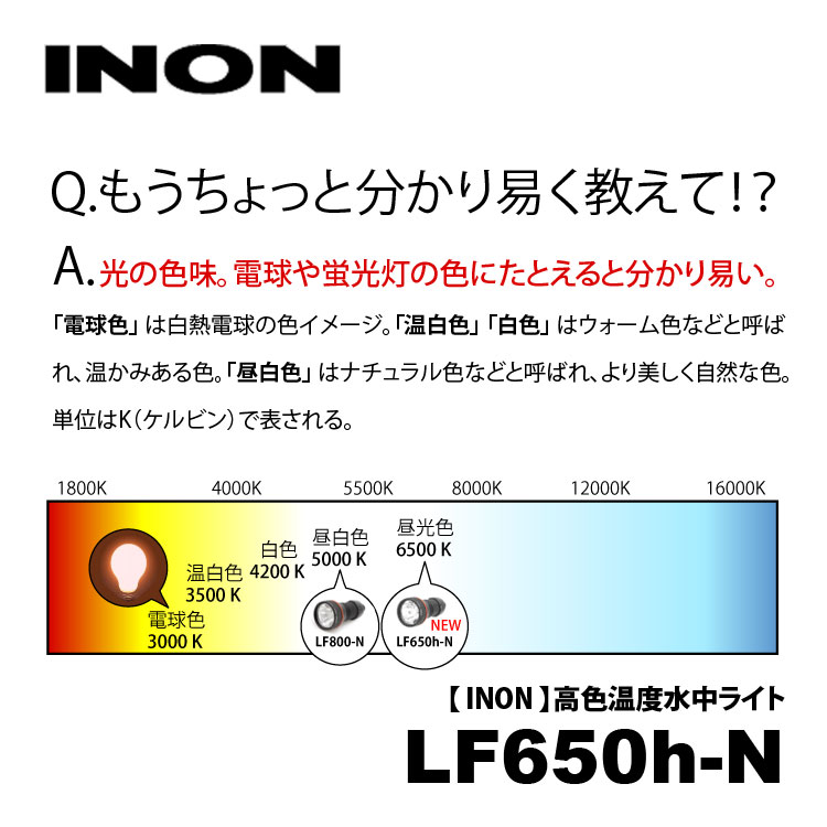 94%OFF!】 INON イノン 集光レンズ LF-N trumbullcampbell.com