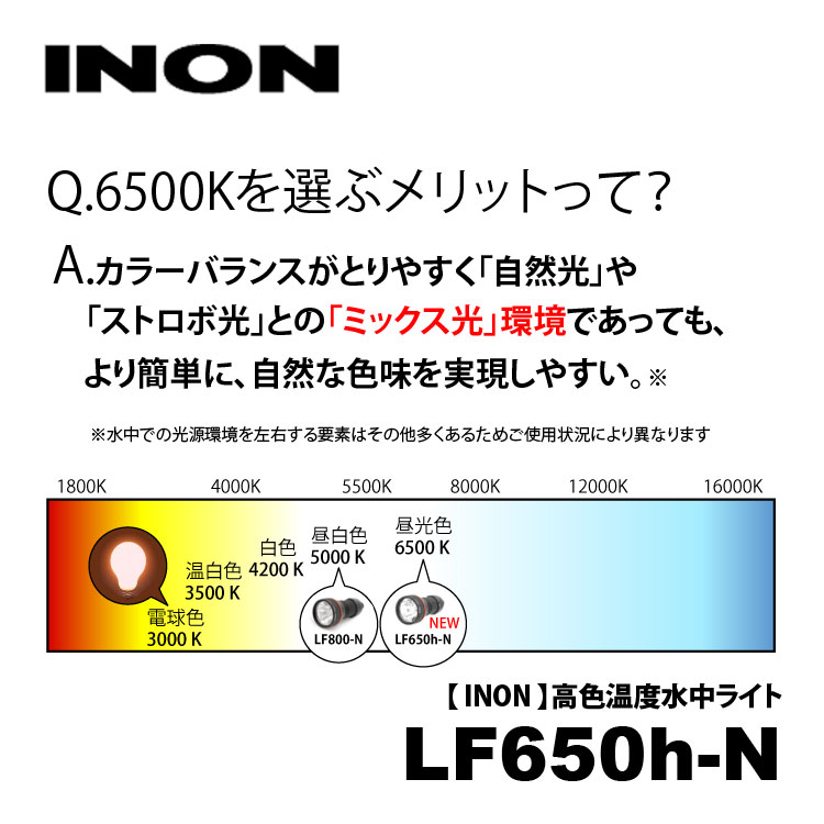 [ INON ] LF650h-N 水陸両用LEDライト