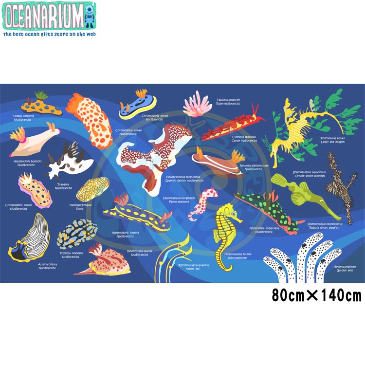 [ OCEANARIUM ] ドライタオル T01 Nudibranch identification dry towel 80cm x 140cm