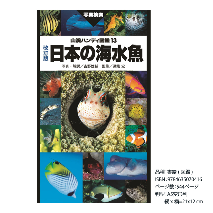 DVD 魚の生態図鑑　サメから深海魚まで578種