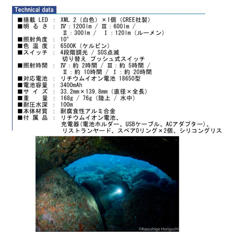 [ bigblue ] ビッグブルー AL-1200NP II Camo GREEN スポット光 水中LEDライト