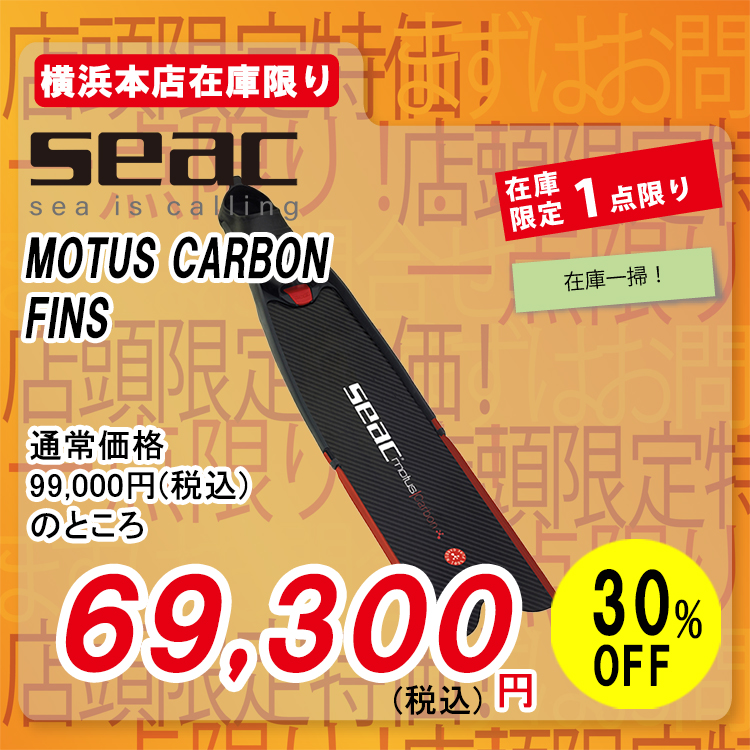 SEAC MOTUS CARBON