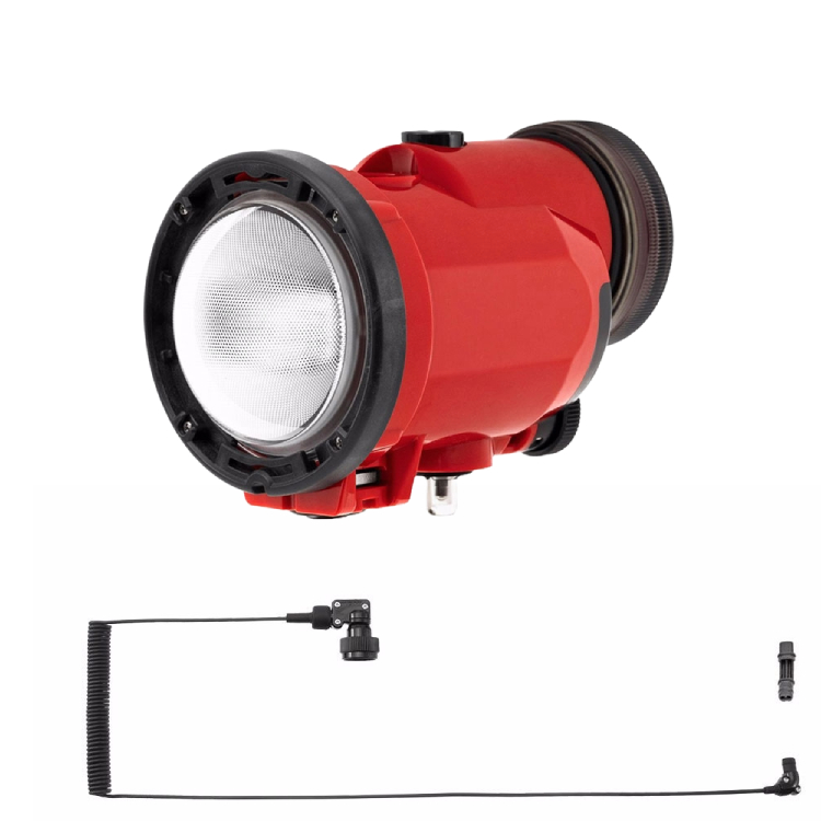 mic21ダイビングショップ[ INON ] S-220 L型光Dケーブルセット [ S-220 