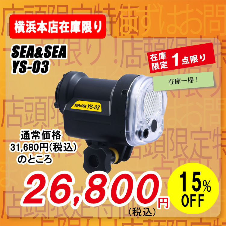 SEA&SEA YS-03