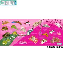 [ OCEANARIUM ] hC^I T06 pink nudibranches identification dry towel 50cm x 120cm