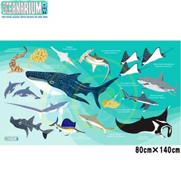 [ OCEANARIUM ] ドライタオル T10 green sharks identification dry towel 80cm x 140cm