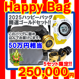 [ mic21IWi ] 2025 HAPPY BAG J^S[hZbg 