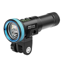 [ WEEFINE ] WF Smart Focus 2600 ^ Cg ؂ւ^Cv@#30636
