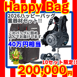 [ mic21IWi ] 2026 HAPPY BAG dރZbg 