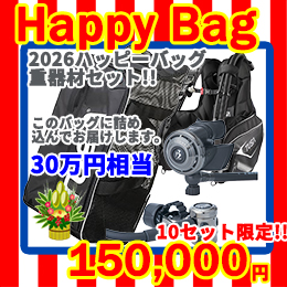 [ mic21IWi ] 2026 HAPPY BAG dރZbg 