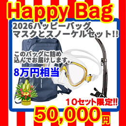 [ mic21�I���W�i�� ] 2026 HAPPY BAG �}�X�N�ƃX�m�[�P���̃Z�b�g ����