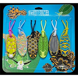 [ OCEANARIUM ] GE02 �M�A �^�O �i6�j seaslug equipment tag