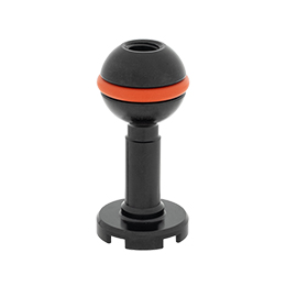 [ INON ] FA�{�[�� 45