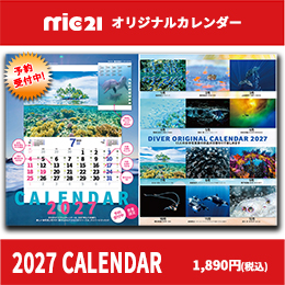 [ �_�C�o�[ ] 2027�N�� mic21�I���W�i�� �J�����_�[