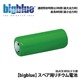 [ bigblue ] BLACK MOLLY II XyAp`Edr