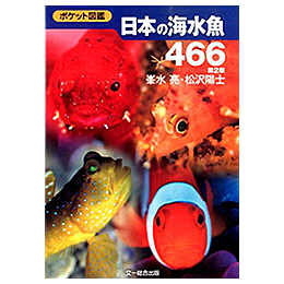 [ 文一総合出版 ] ポケット図鑑 日本の海水魚466 第2版