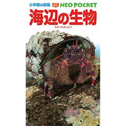[ w ] Cӂ̐ (wق̐}NEO|Pbg)  Ps{