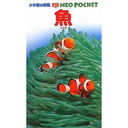 [ w ]  (wق̐} NEO|Pbg) Ps{