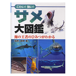 킢IIT} C̉҂̂Ђ݂킩