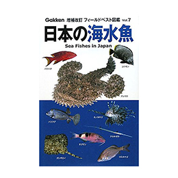 [ w ] {̊C tB[hxXg} vol.7