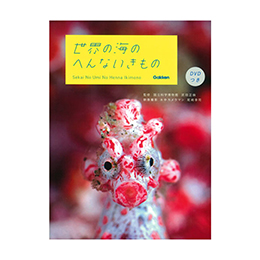 [ w ] E̊ĈւȂ DVD