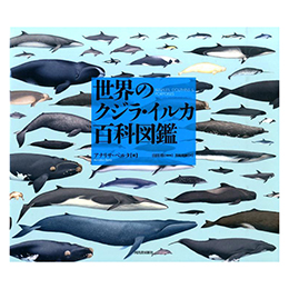 [ ͏o[V ] ẼNWECJSȐ}