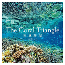 [ Creviis ] ʐ^W The Coral Triangle `юX` Ìイ