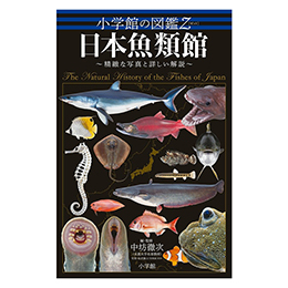 [ w ] wق̐}Z {ފ `kȎʐ^Əڂ`