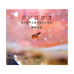 [ V ] _SEI C猩kЂƍĐ