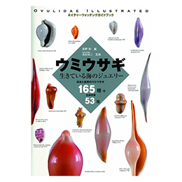 [ V ] E~ETM ĂC̃WG[