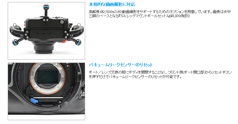SONY α7R III image