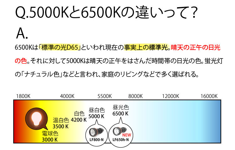 【INON】LF650h-N 水陸両用LEDライト