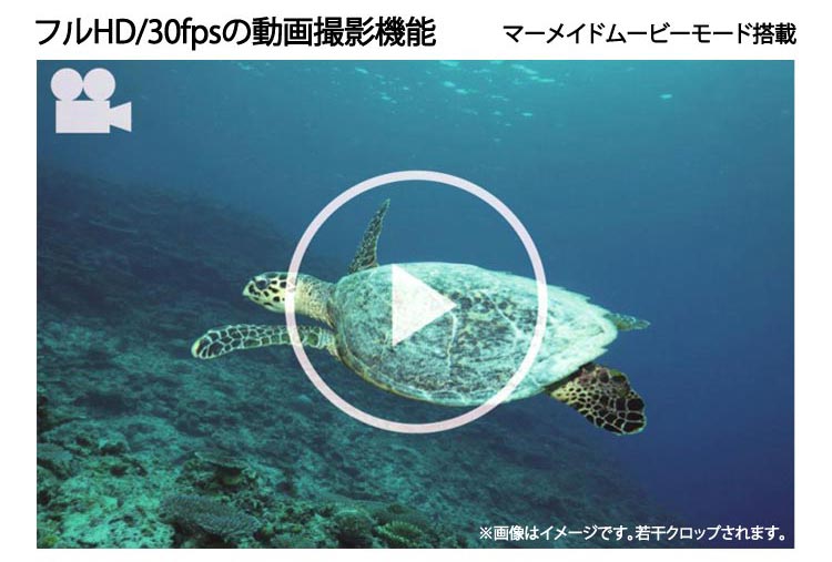 SEA&SEAハウジング
