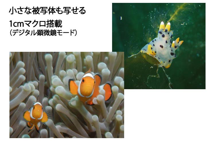 SEA&SEAハウジング
