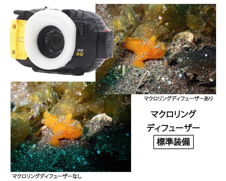 SEA&SEAハウジング