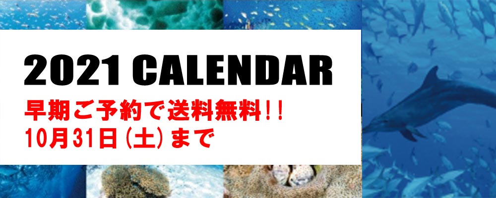 送料無料キャンペーン