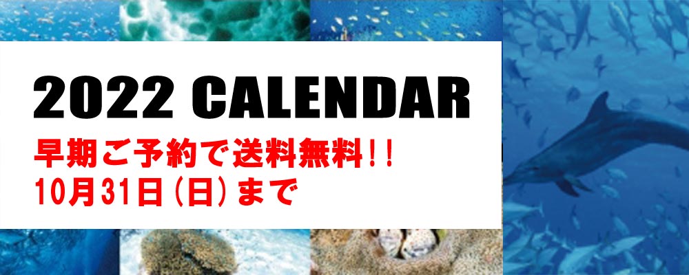 mic21カレンダー