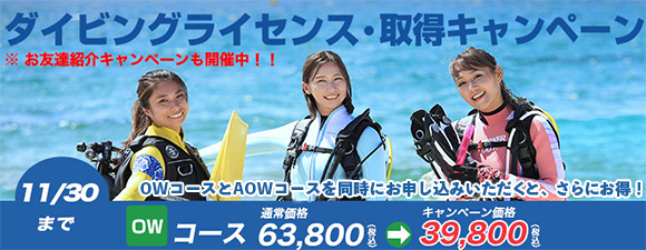 mic21】今週のおススメアイテムのご案内♪